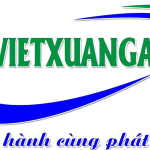 Logo Công ty cổ phần công nghiệt Việt Xuân - Vietxuangas